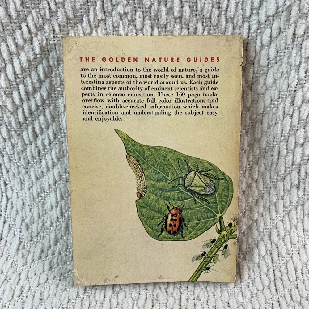 1966 A Golden Nature Guide INSECT PESTS by Herbert Zimm Home Garden Field Forest - Picture 8 of 16